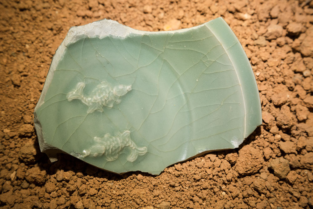 Celadon shard fragment
