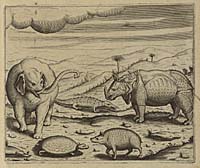 de Bry, Etliche Thiere, so in Indien gefunden werden, 1600