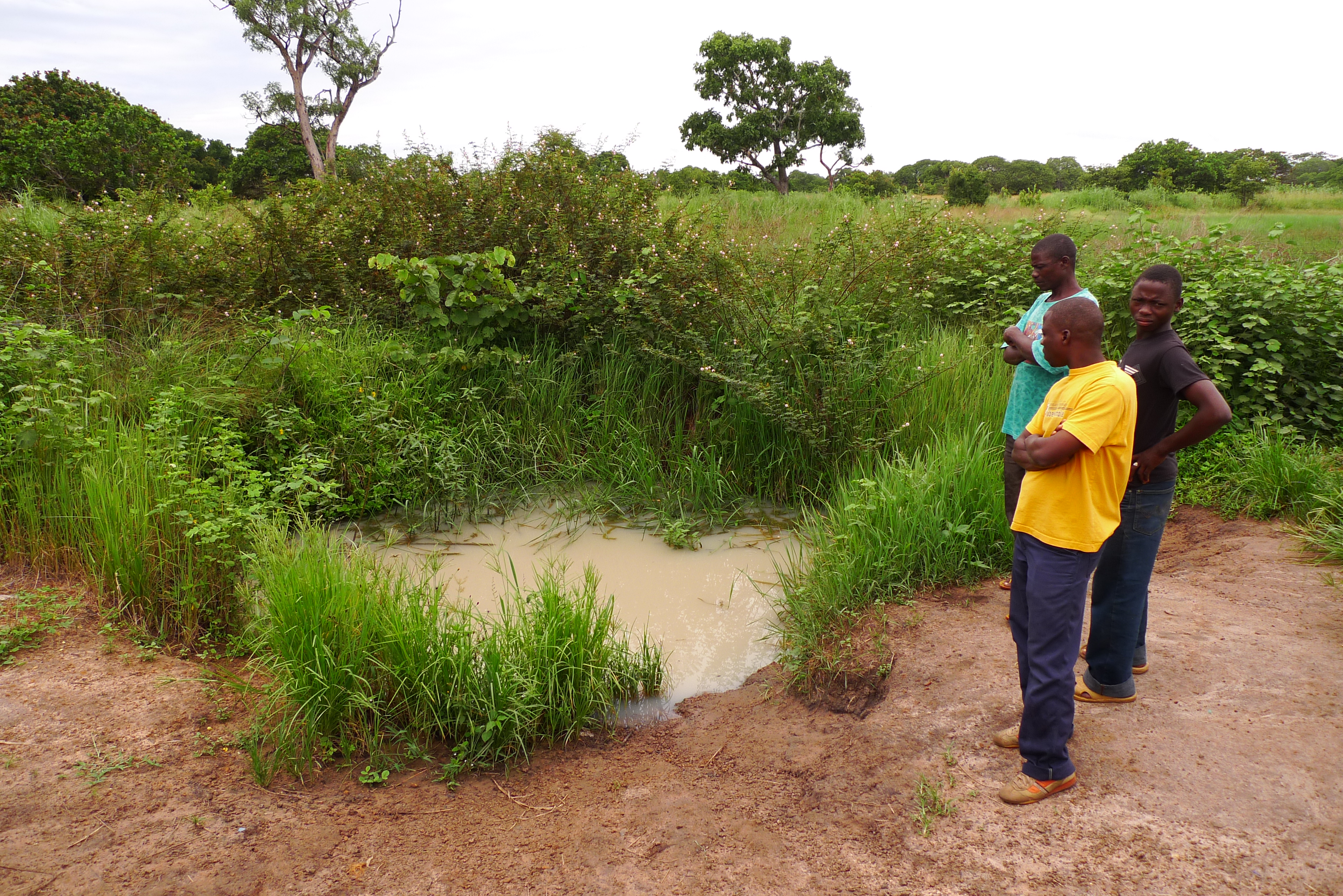 In the shoe vendors` home village in the south of Tanzania drinking water is obtained from a water hole. Photo: Alexis Malefakis 2012.