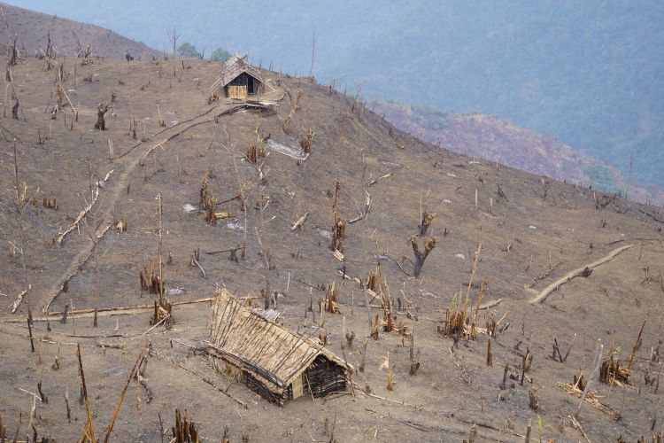 Feldhütten auf einem Brandrodungsfeld (Longvi, Hkamti Distrikt, Myanmar). Foto: Rebekka Sutter, 2017